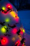 Snow Covered Christmas Tree