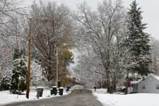 Snowy Suburban Street