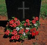 Soldier's Grave With Flowers
