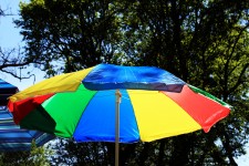 Umbrella In The Sun