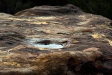 Water Puddle On Rock