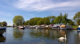 Waveney Quay Boats And Swan