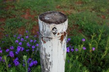 White Wooden Pole