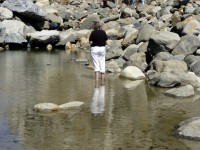 Woman Standing In Shallow Water