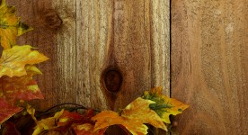 Wood Fence & Fall Leaves Background