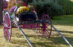 Wooden Flower Cart