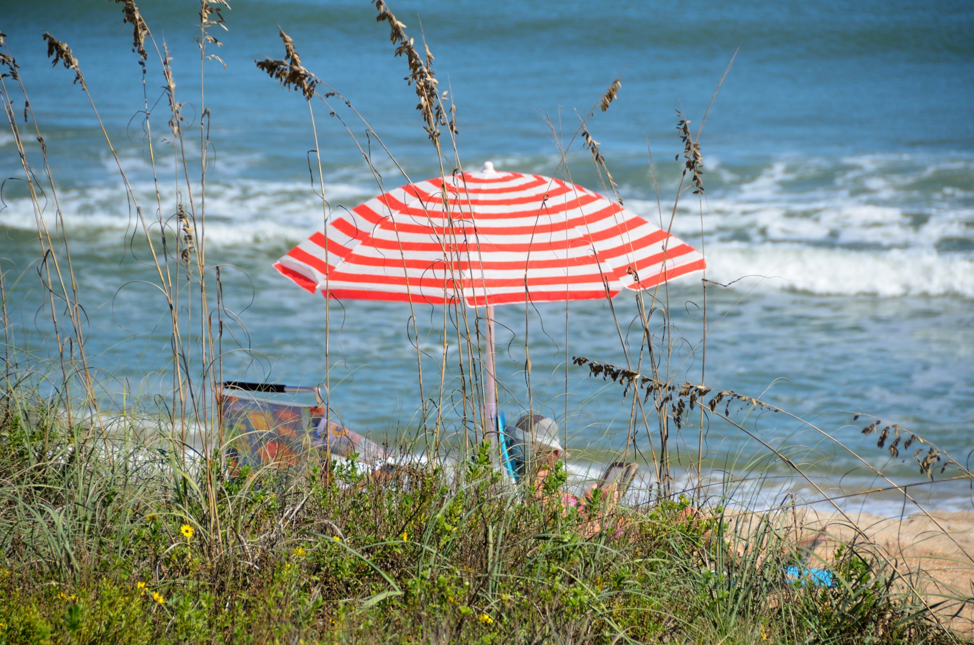 Beach umbrella on the beach at Florida, USA