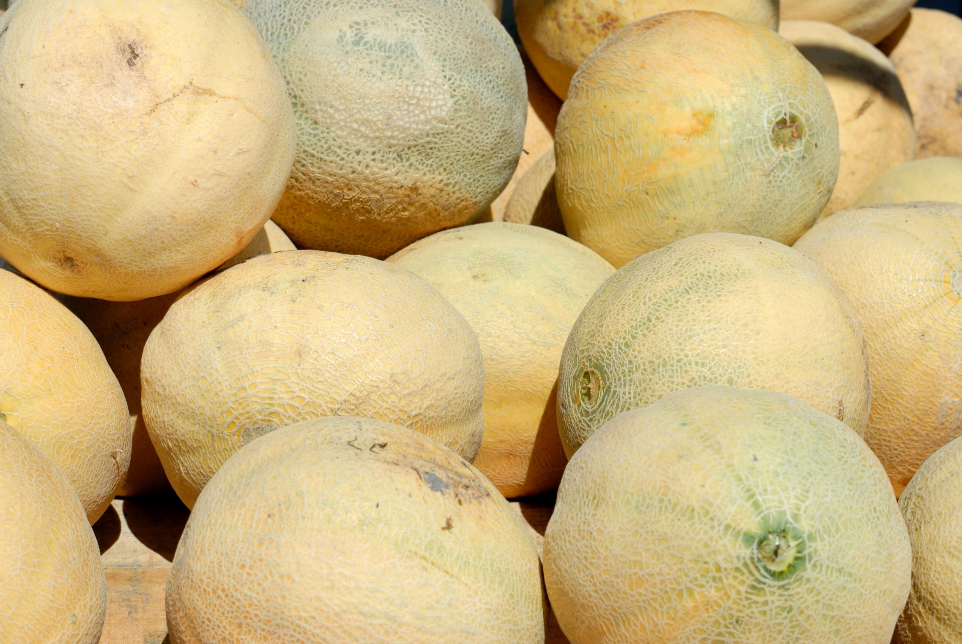Cantaloupes at market place background