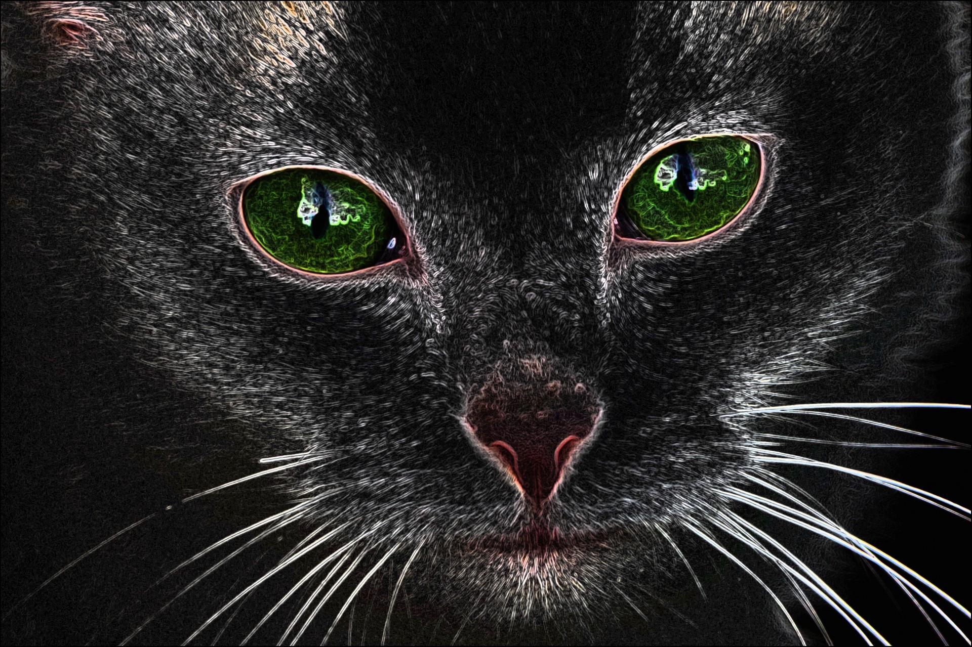 Dark Green Eyed Cat - Photo sketching using free iOS app Dark Sketch
