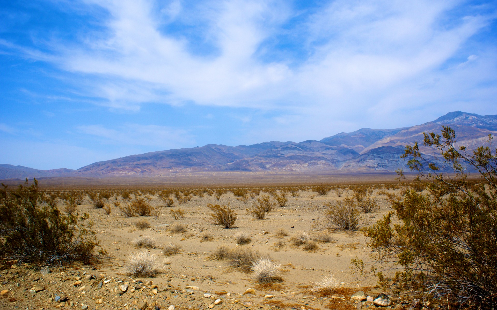Desolation Of Mojave Desert