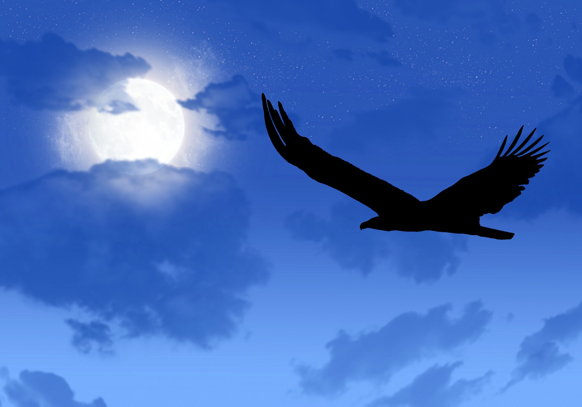 Illustration of starry night with eagle silhouette