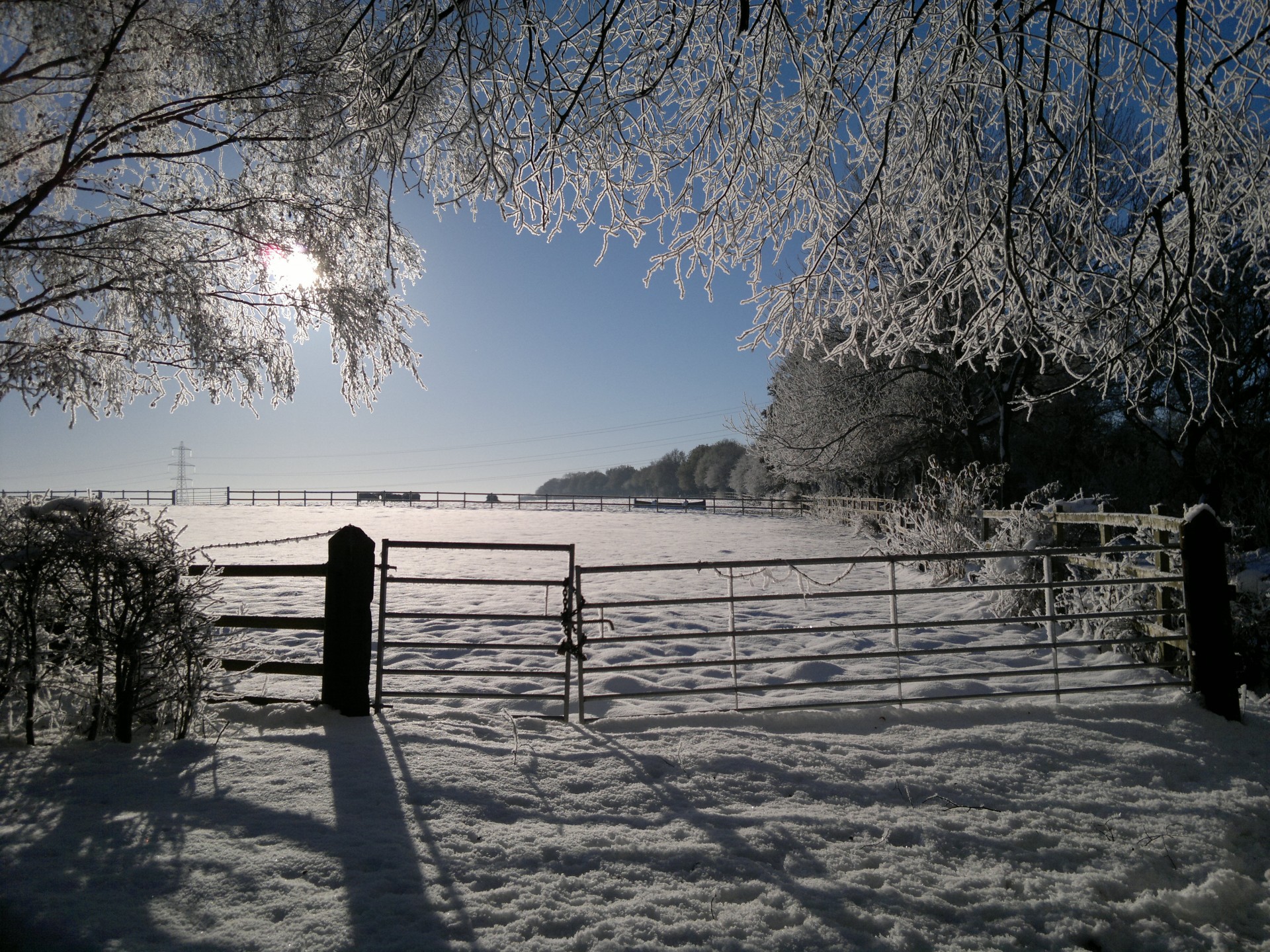 A beautiful early morning snow scene and blue sky with the sunlight making everything glow