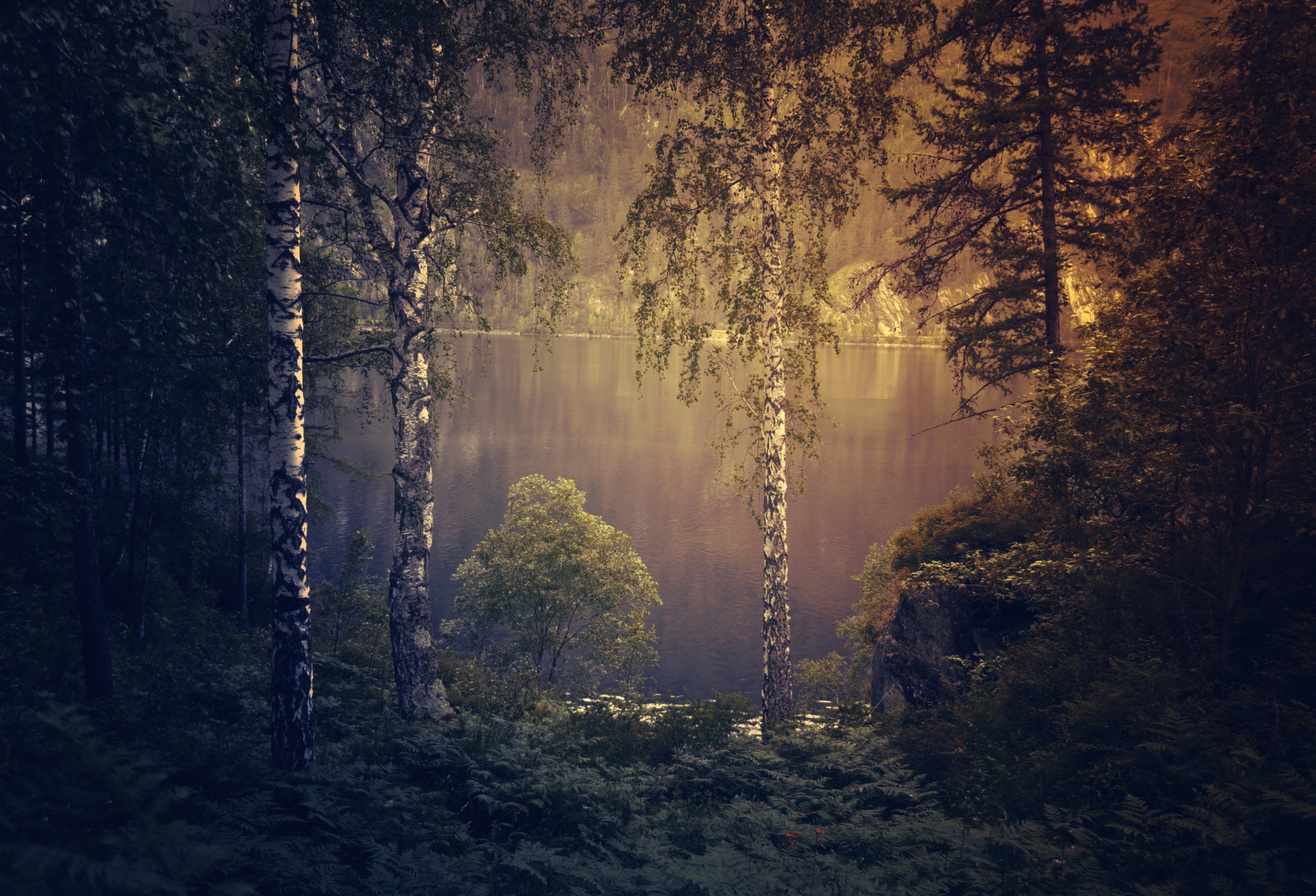 fairytale background with trees
