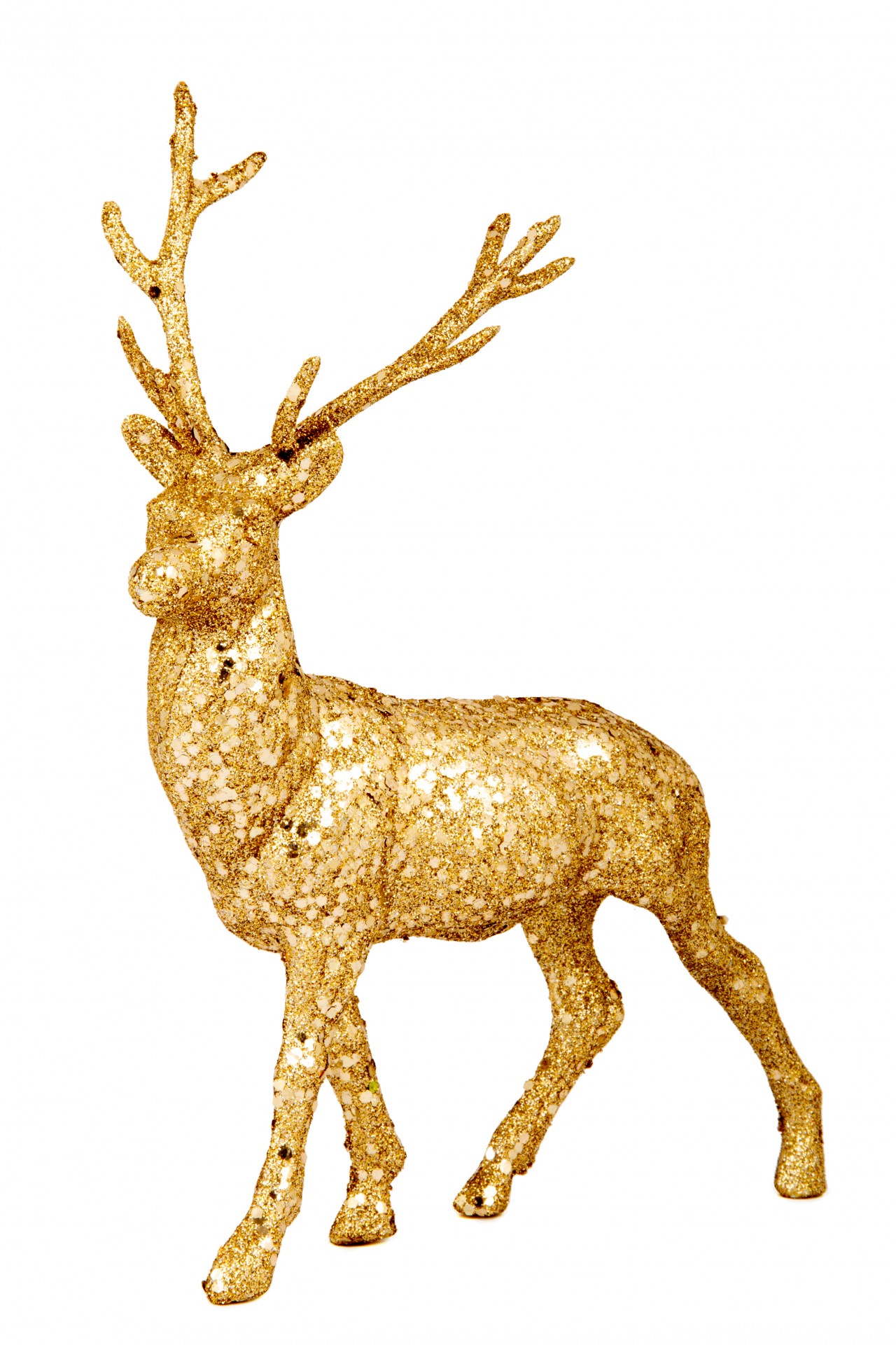 golden-reindeer-free-stock-photo-public-domain-pictures
