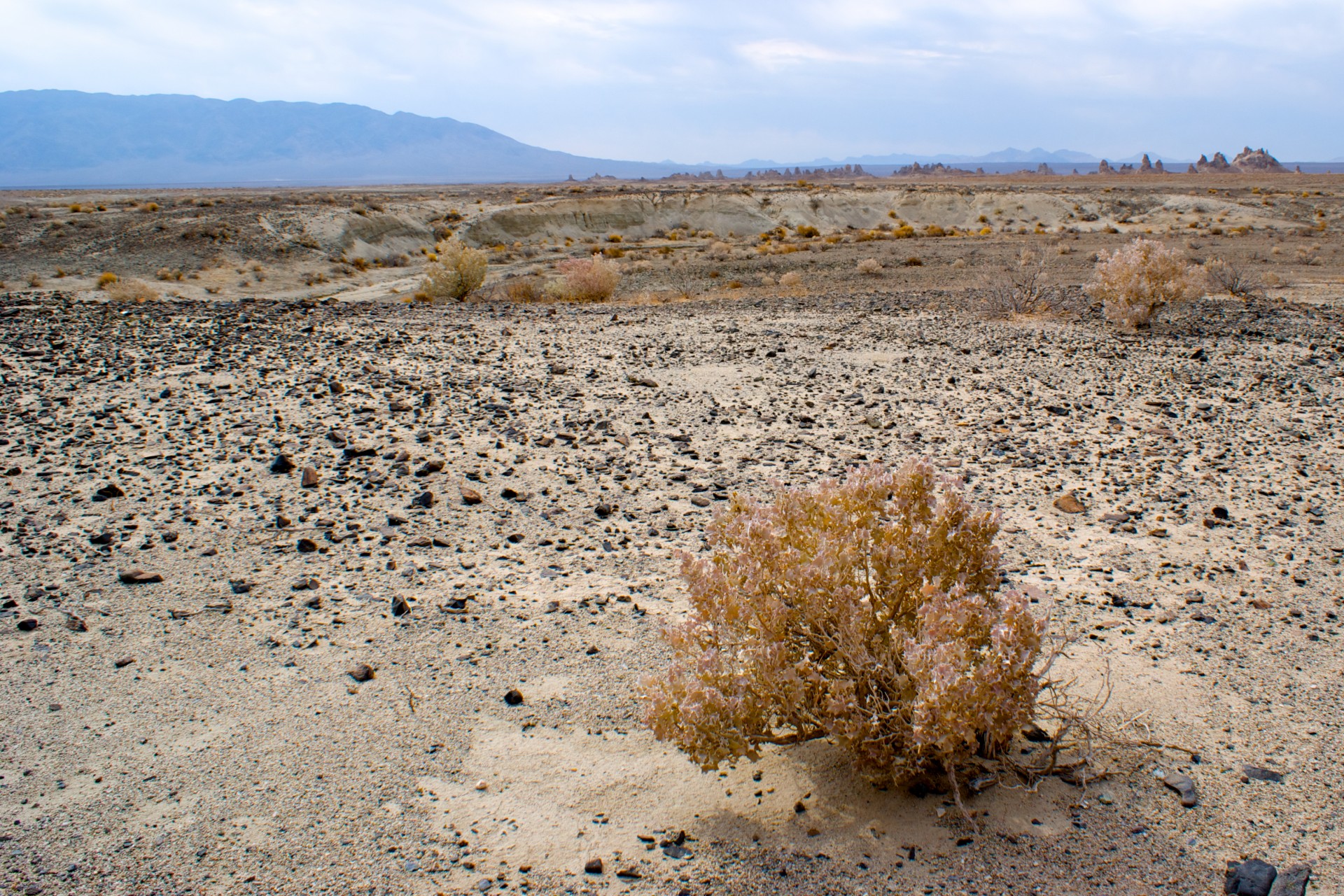 Mojave desert wilderness desolation in the vast emptiness of southern California.