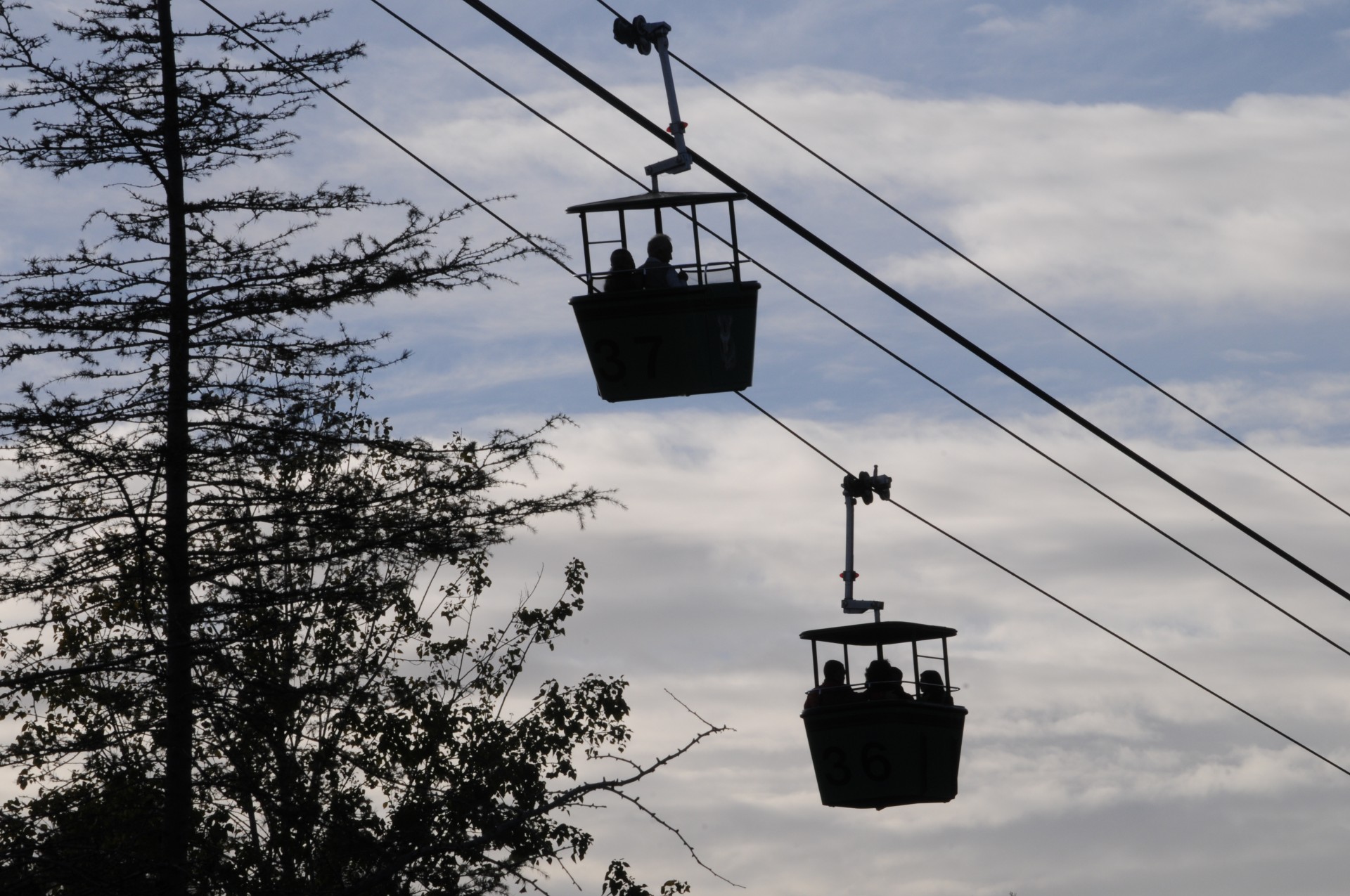 Pair Of Silhouetted Aerial Tramcars