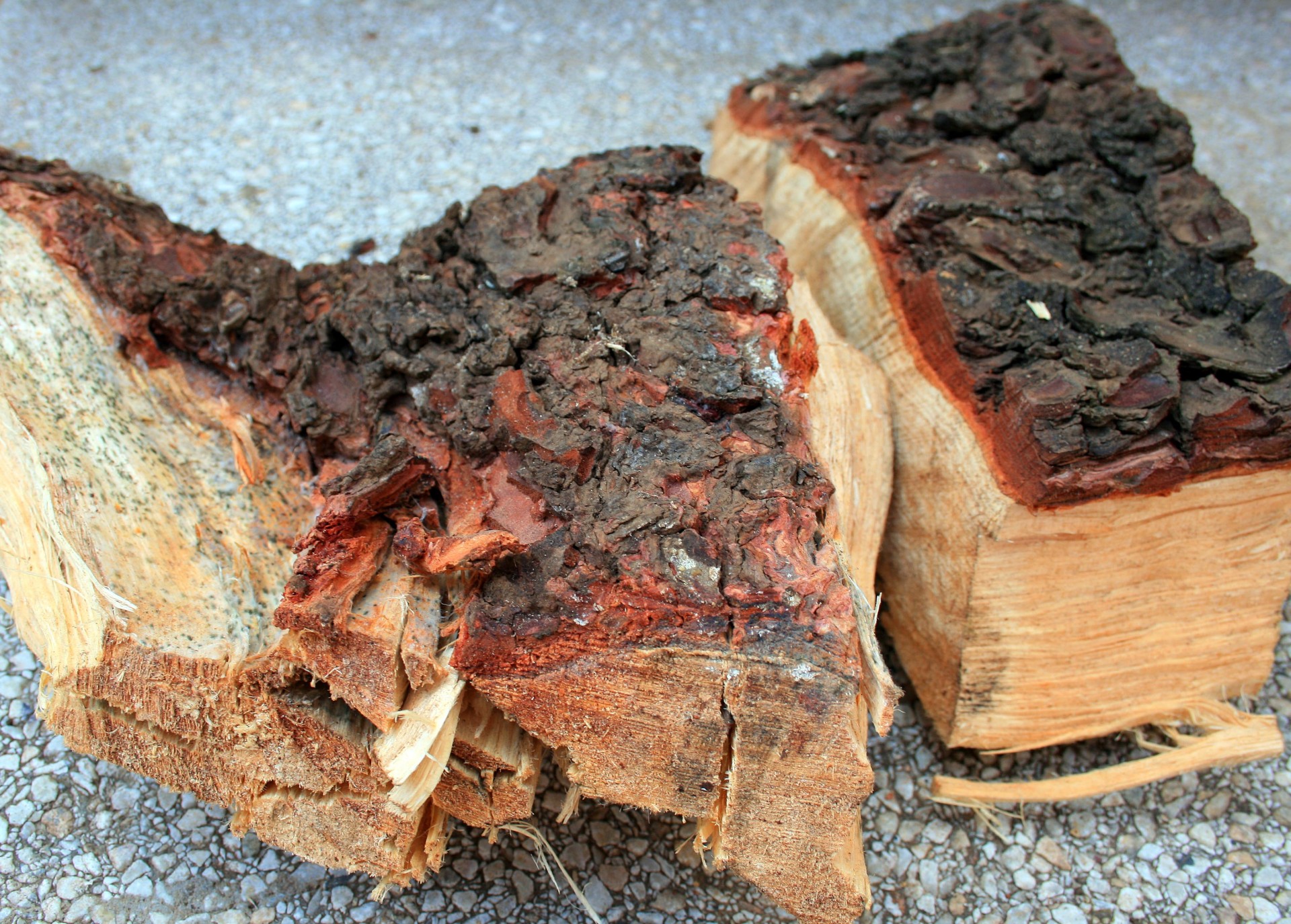 Pieces Of Chopped Pine