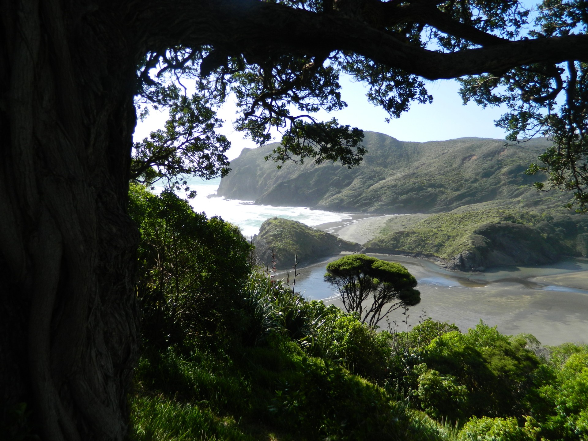 Landscape of west Auckland coast