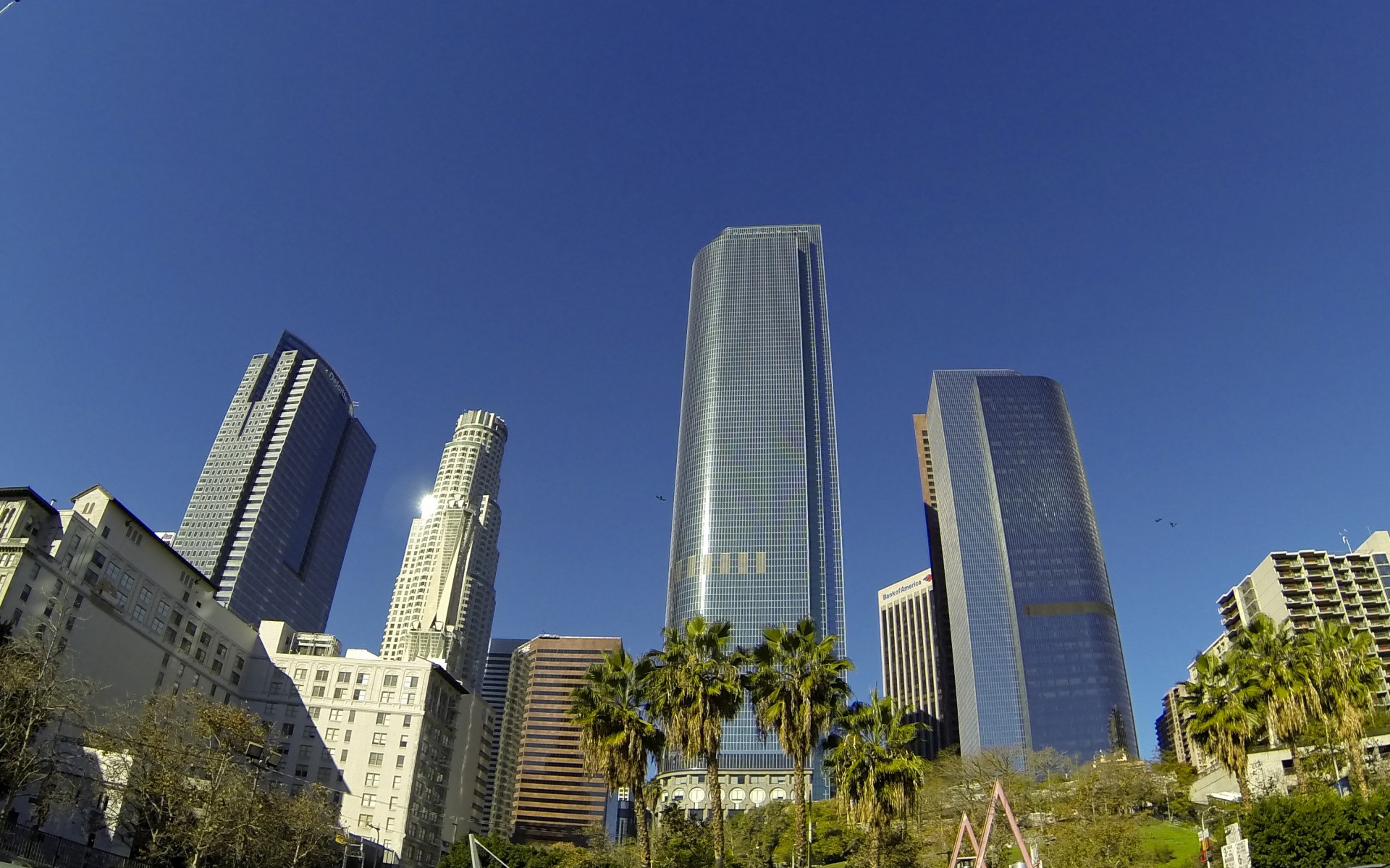 Fisheye shot capturing some skyscrapers in Downtown LA