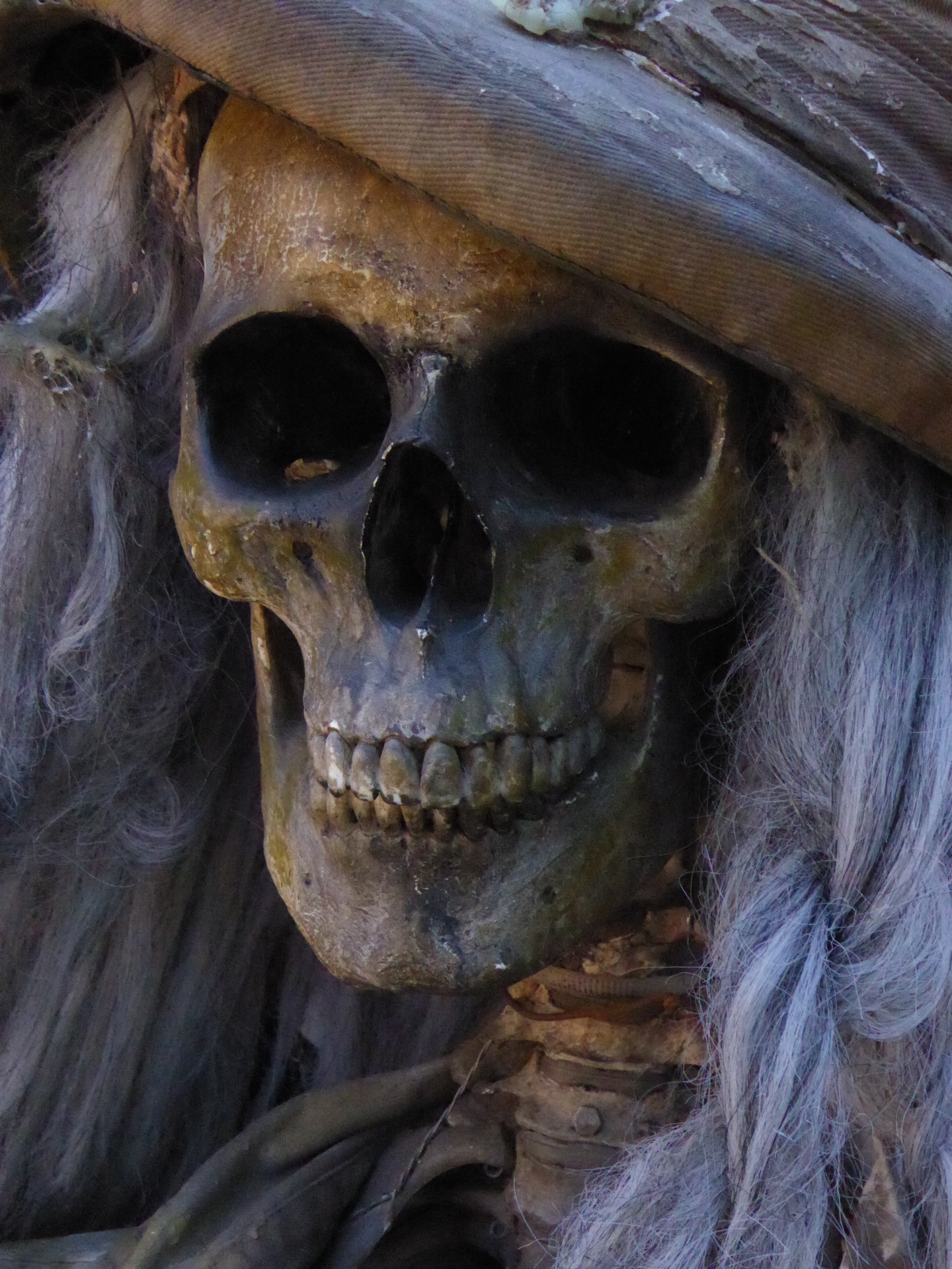 closeup of a skeleton with long hair wearing a hat