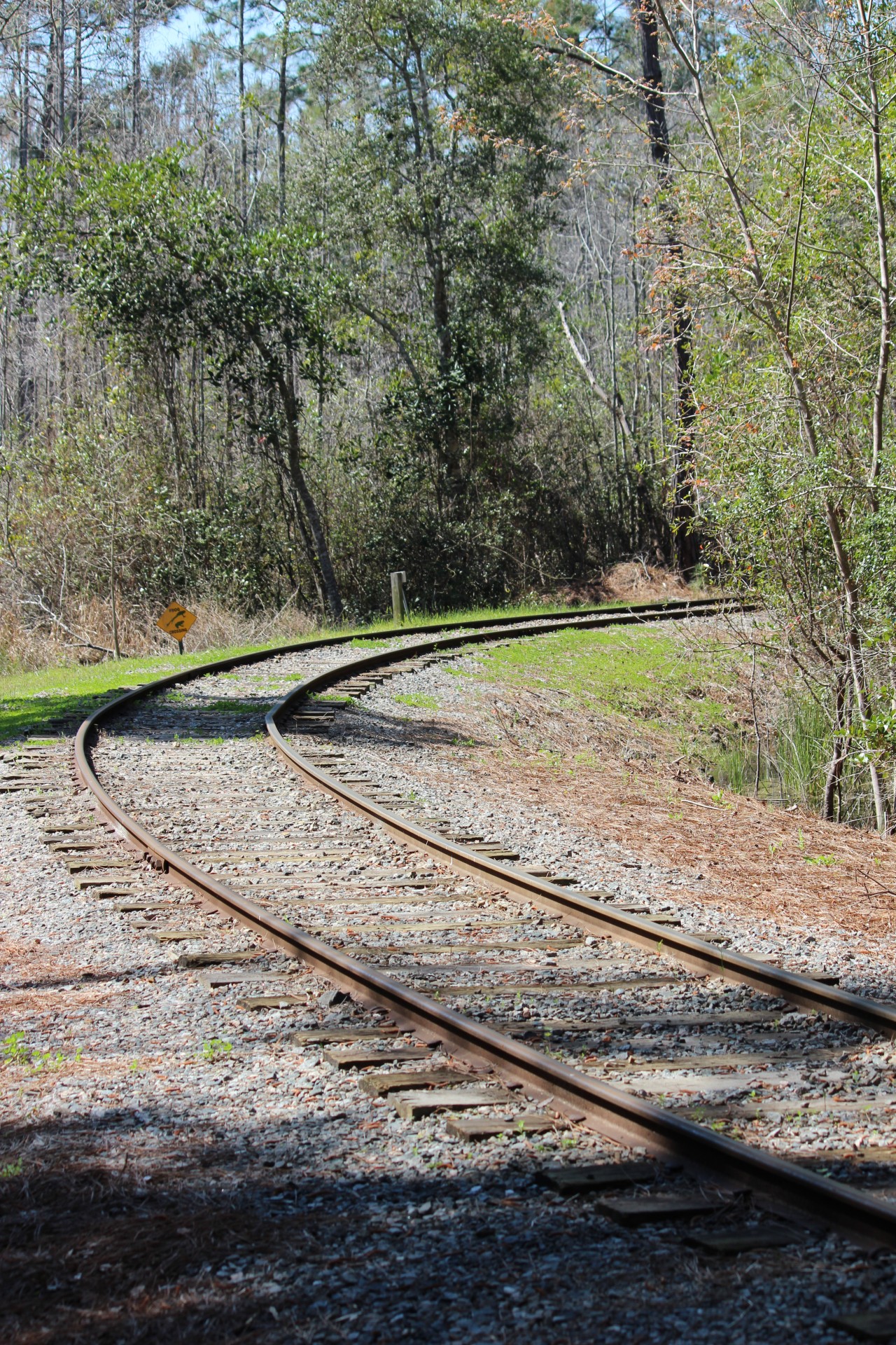 Train Track Curve