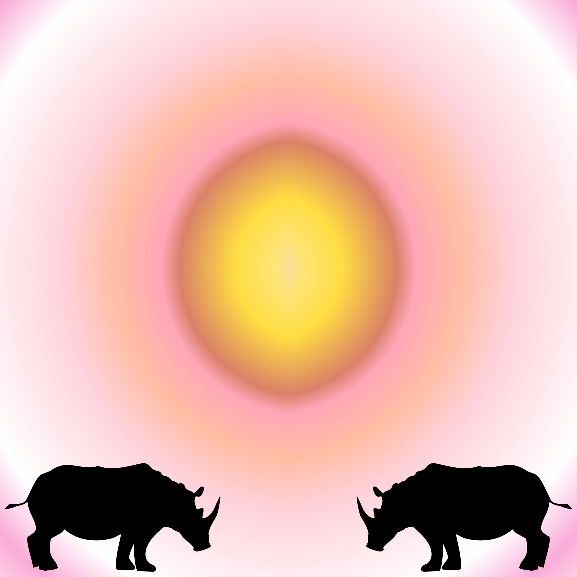 Two Rhinos