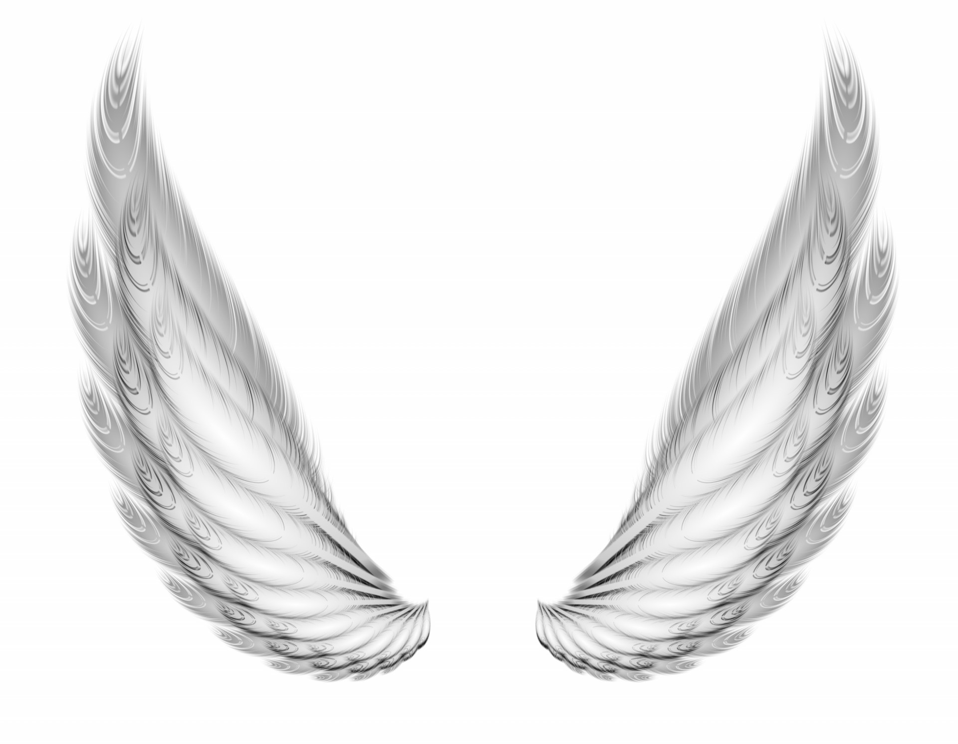 Two Wings