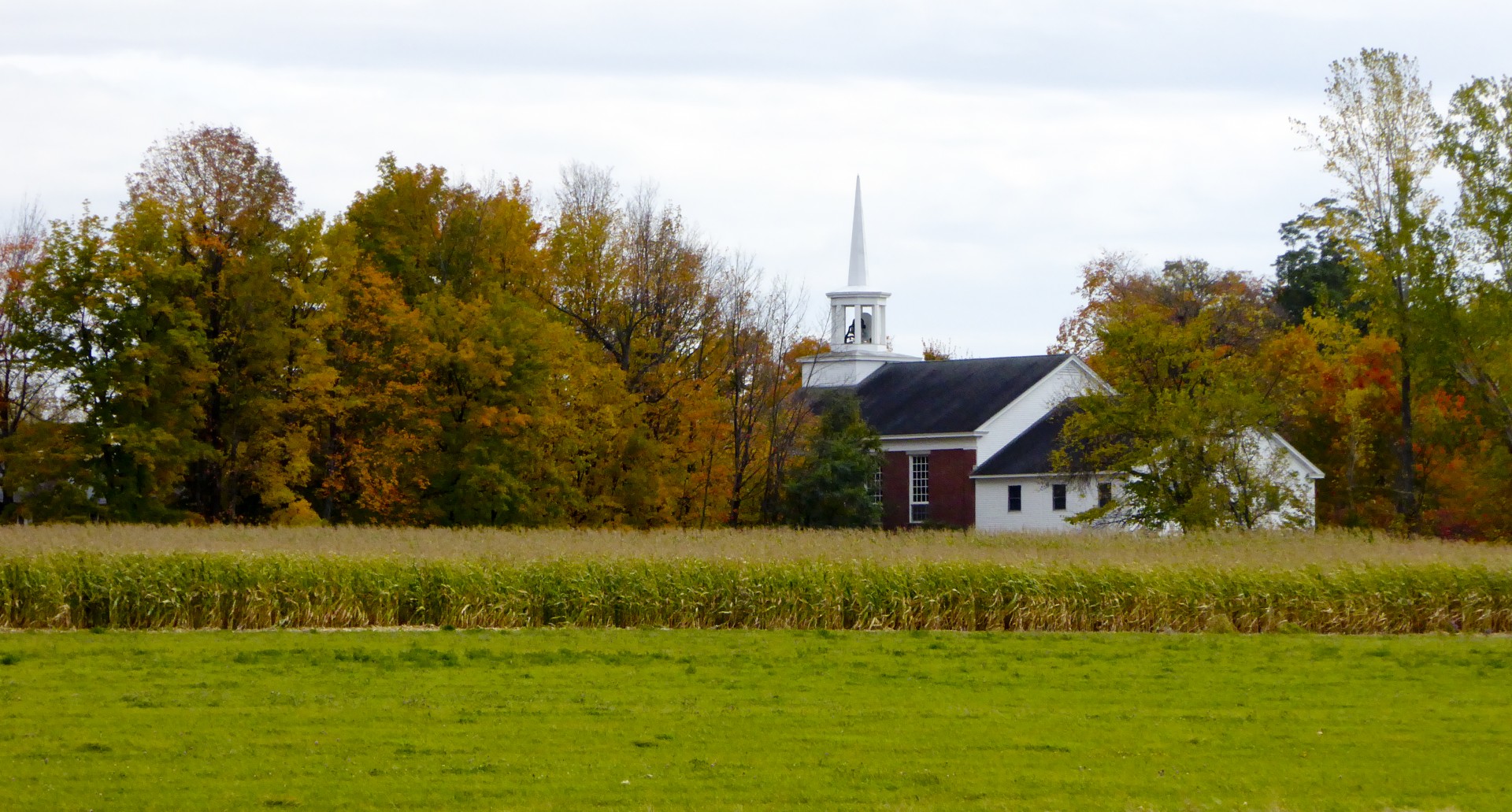 A white steeple church amidst fall foliage is footed with crops of corn and a bright green meadow