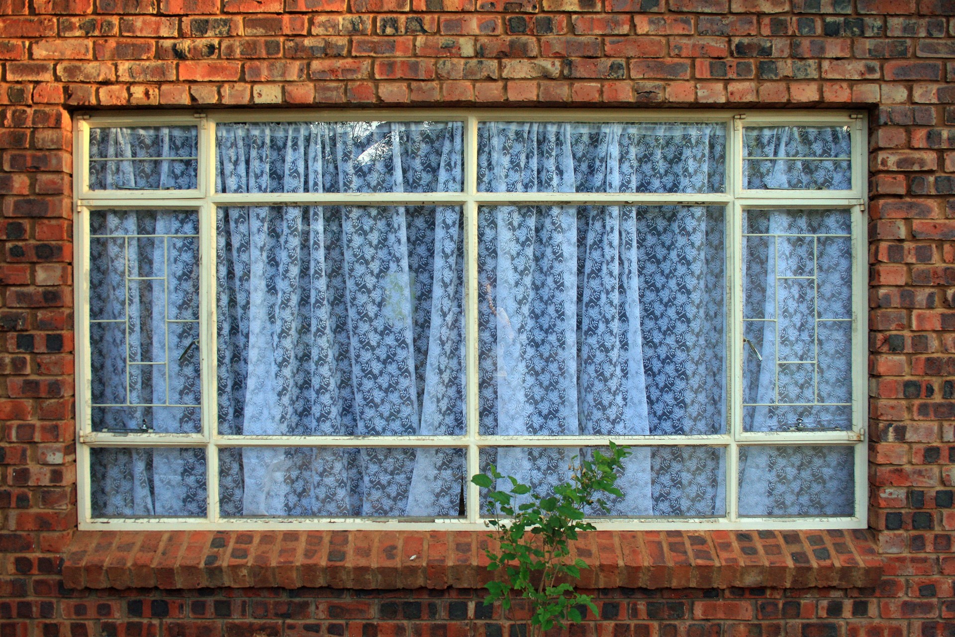 Window With Lace Curtain