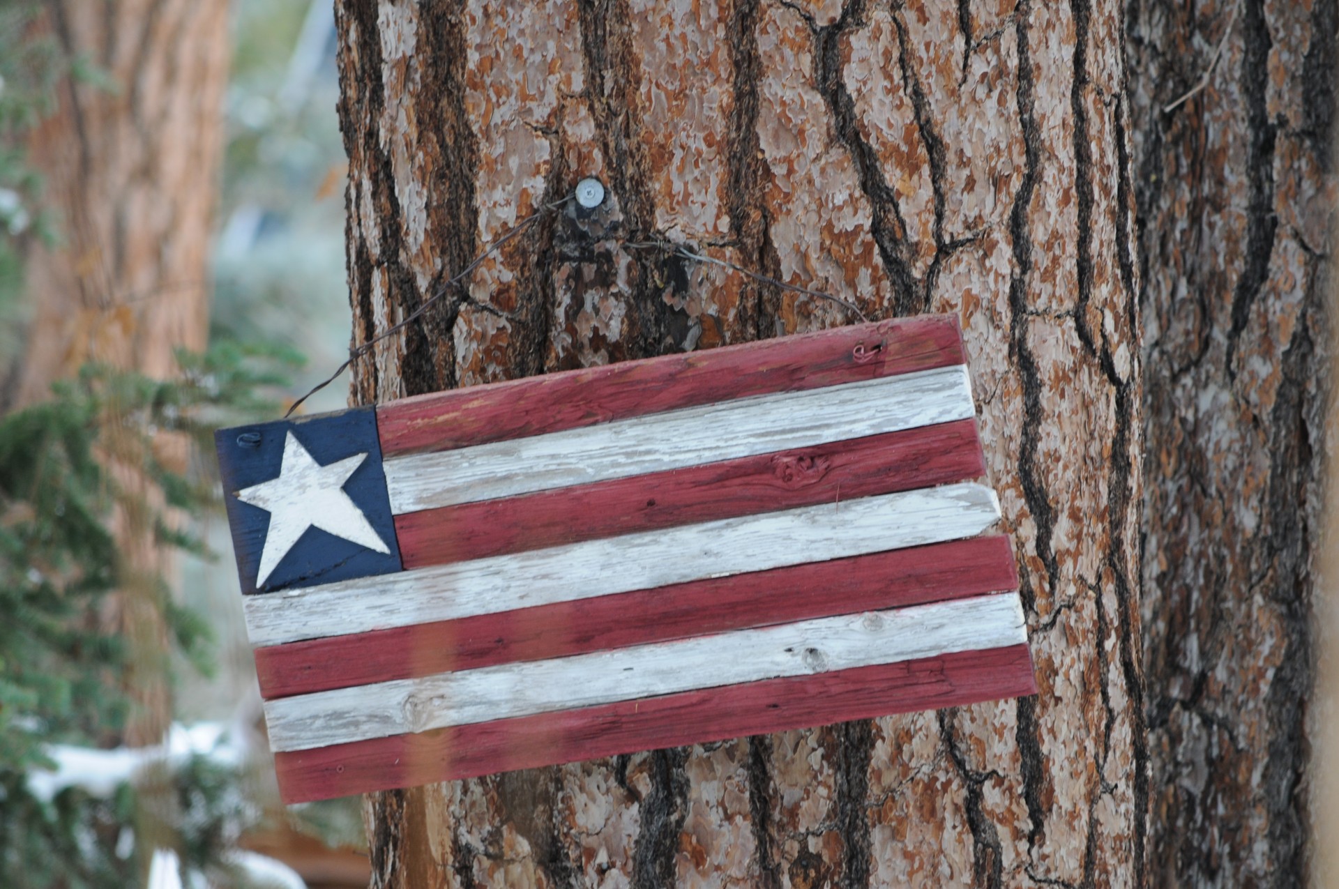 Wooden American Flag Decoration hammered onto a huge tree trunk.
