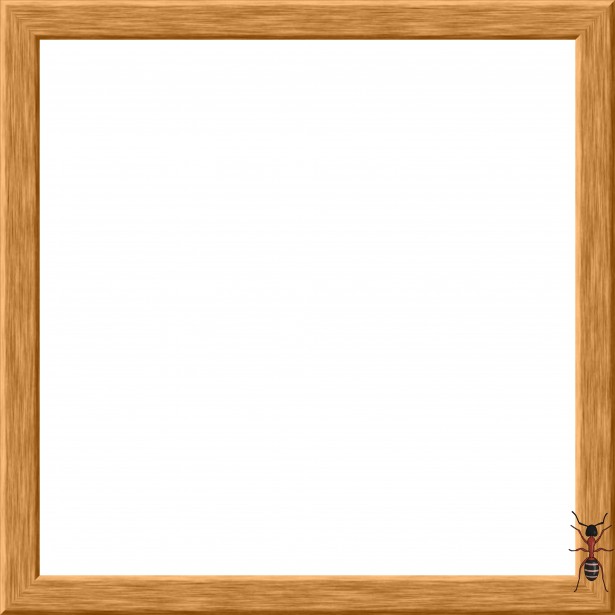 Wooden Frame Free Stock Photo - Public Domain Pictures