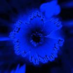 Adapted Blue Flower