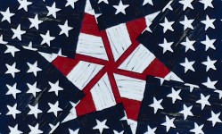 American Stars & Stripes #5