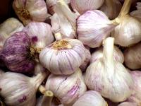 Anonymous Garlic