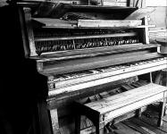 Antique Player Piano Black & White
