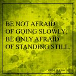 Be Not Afraid Of Going Slowly