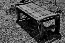 Bench In Black And White