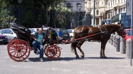 Carriage With Horse In Naples