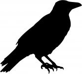 Crow Vector Silhouette