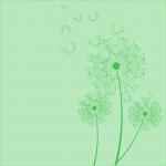 Dandelion Flowers Green Background