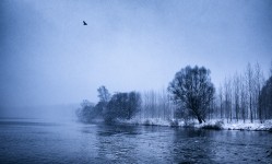 Danube In Winter