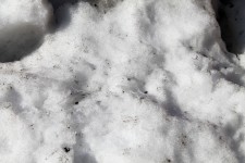 Dirty Snow Background - 03