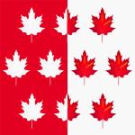 Canadian Flag # 1