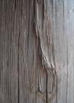 Frayed Wooden Pole