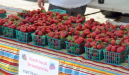Fresh Strawberries For Sale