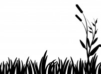 Grass Silhouette Clipart