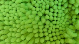 Green Duster Texture
