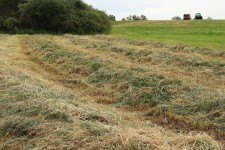 Harvest Crop Farm Hay