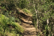 Hiking Path