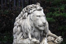 Lion Sculpture
